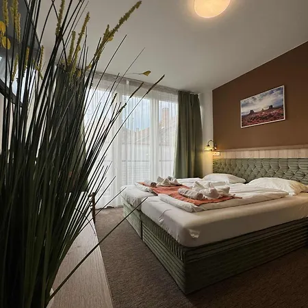 Castle Wellness B&B *