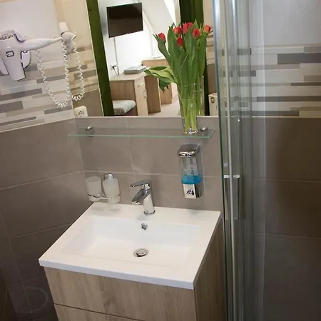Castle Wellness B&B 페치